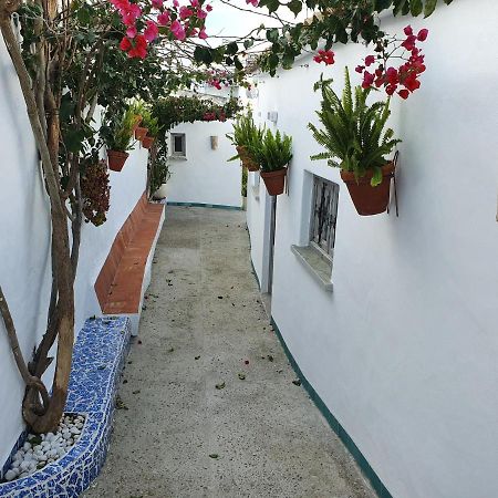 La Chanca Hotel Conil De La Frontera Bagian luar foto